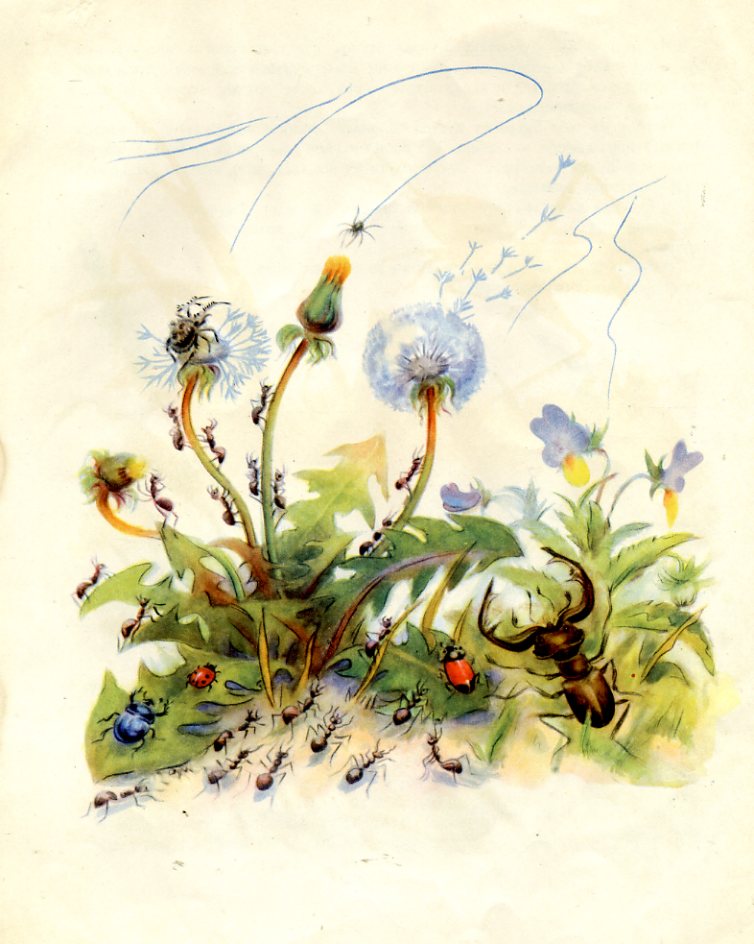 Детские книги с картинками о насекомых, Паучок пилот, красивые картинки насекомых