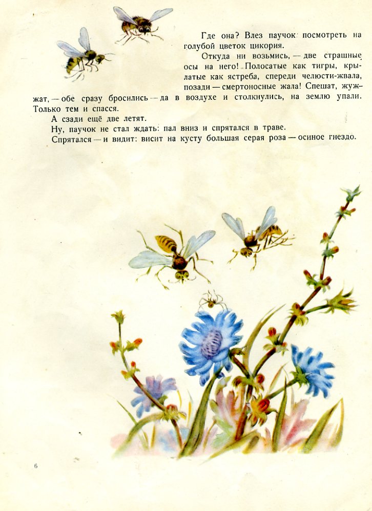 Детские книги с картинками о насекомых, Паучок пилот, красивые картинки насекомых